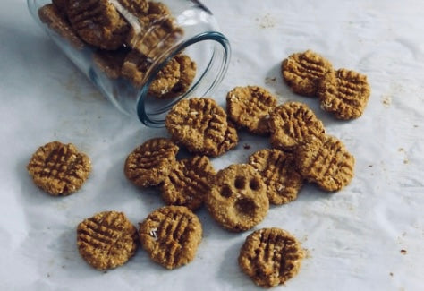 Easy Homemade Pumpkin Peanut Butter Dog Treats with Antioxidants